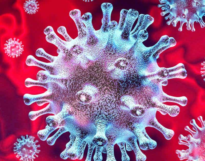 Digital image of virus cell