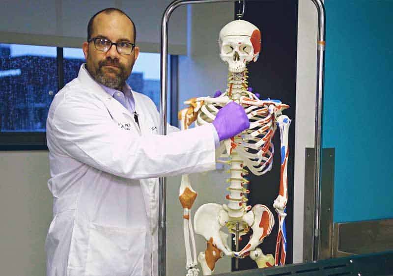 Doctor with skeleton model
