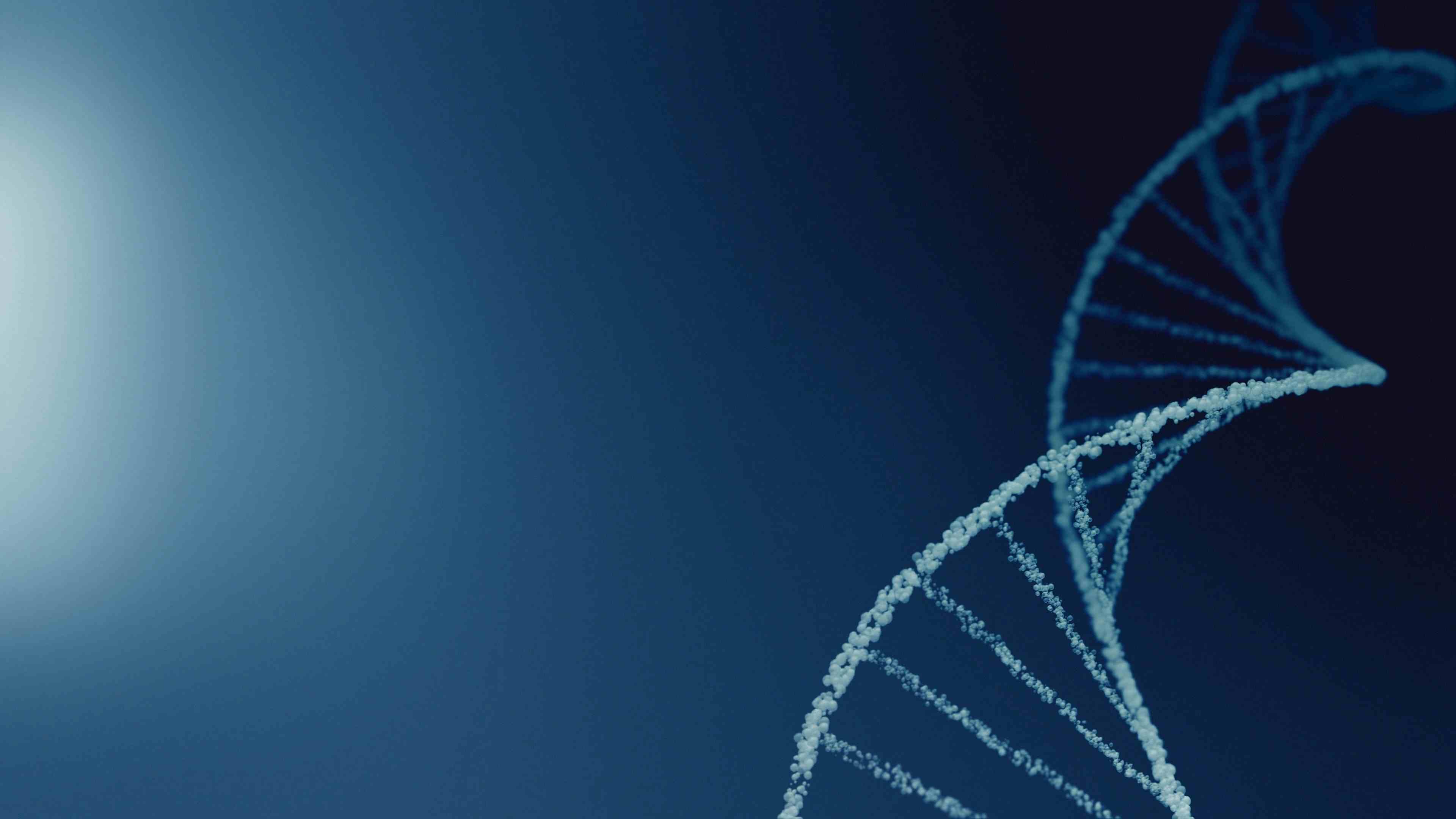 Digital image of DNA strand