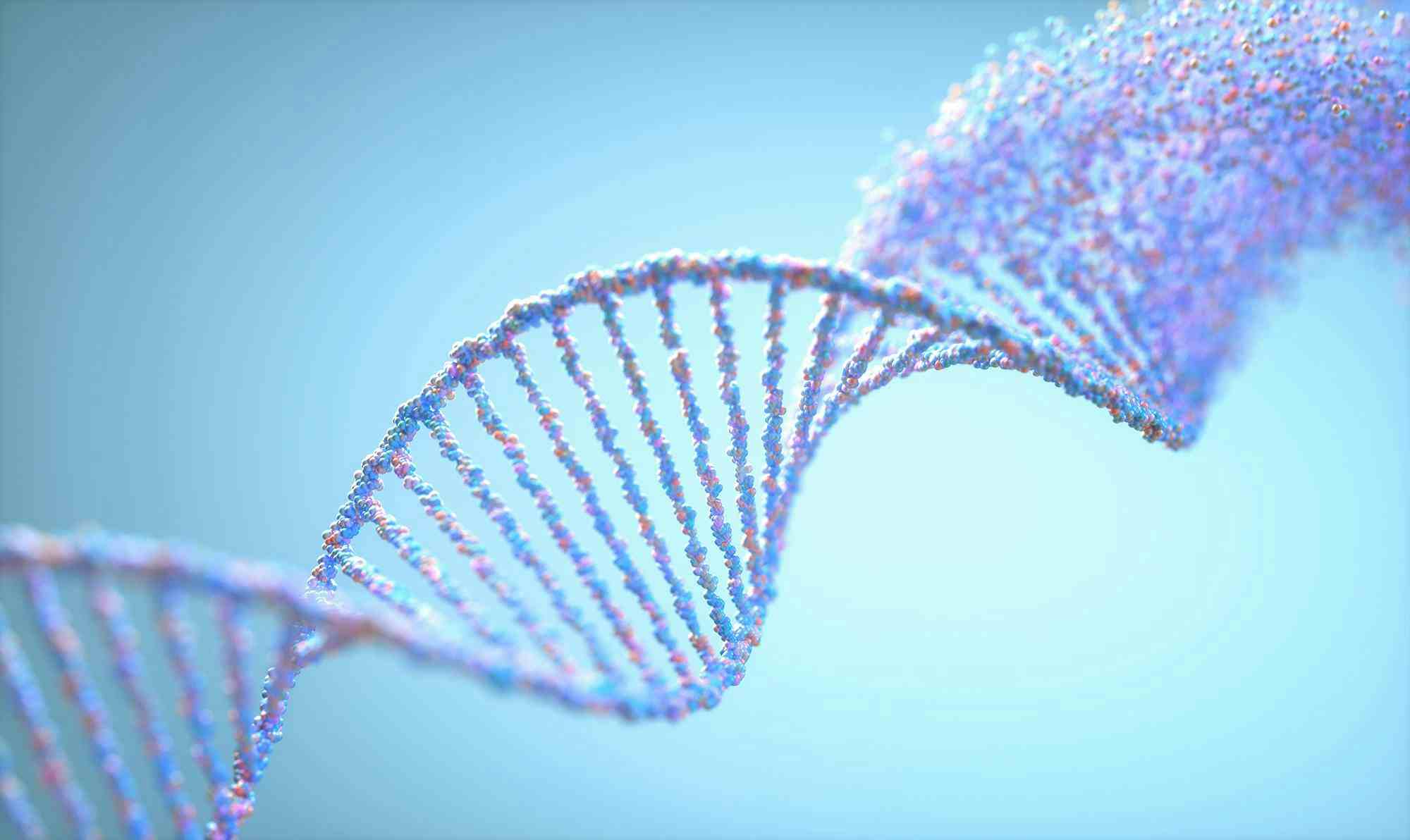 Digital image of DNA strand